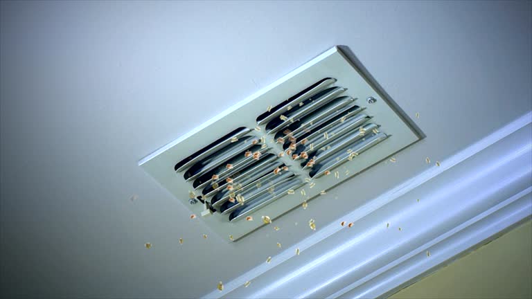 Best Commercial Air Duct Cleaning  in Salem, SD