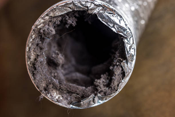Best HVAC Air Duct Cleaning  in Salem, SD